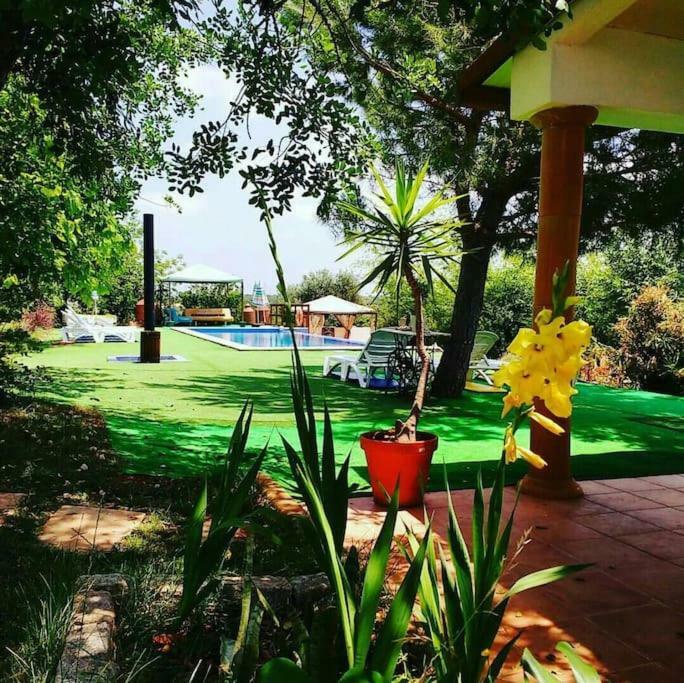 Quinta dos Infantes de Santa Maria Alcantarilha Exterior foto
