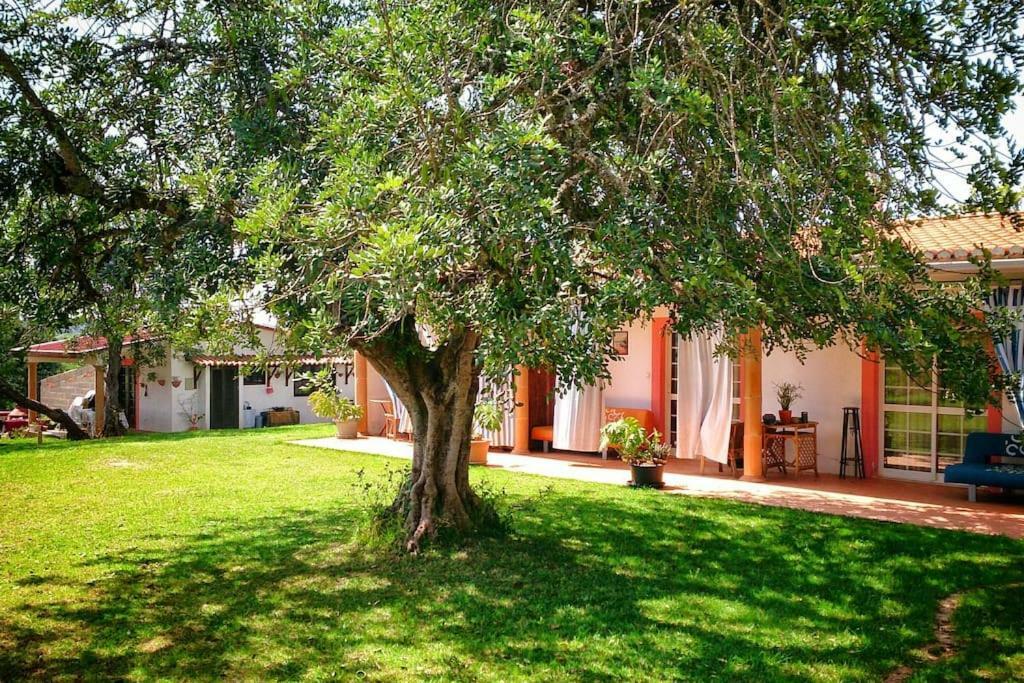 Quinta dos Infantes de Santa Maria Alcantarilha Exterior foto